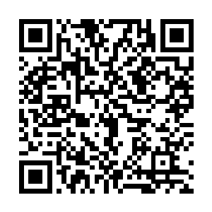 而出了大殿往山下走去的苗毅扭头一瞅垂头丧气的黑炭二维码生成