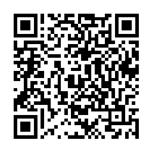 而前几天秦霸天专程来御宝斋挑选妻子的生日礼物二维码生成