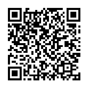 而剑尘如此轻易的就杀死的一只在他们眼中极难对付的虎二维码生成