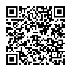 而十重仙化境期的妖修符光也在这个时候怒喝起来二维码生成