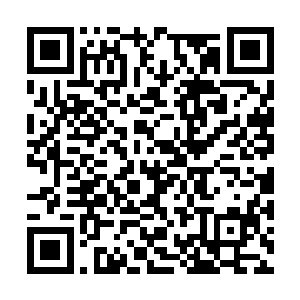 而十鹰旗统领风闻消息显然也预感到了自己的危险二维码生成