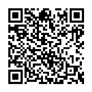 而原本站在栏杆前面遥望湖泊的禾解语转过身来二维码生成
