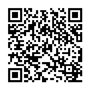 而原本那宛若铁皮一般的体表也是被砸的血肉模糊二维码生成
