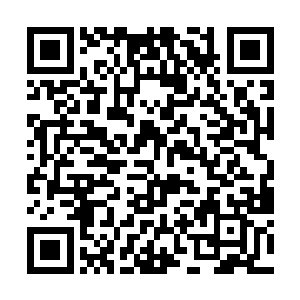 而参加势力评级战的势力和修士却每次都会换一大批二维码生成