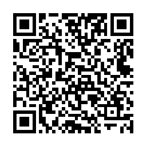 而双胞胎姐姐则还是没有从刚才的事情之中反应过来二维码生成
