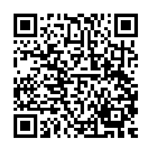 而另一个笑眯眯看上去像个老顽童的白衣老者风天翔却是没见过二维码生成