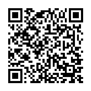 而另一个麻烦事就是那只小狐狸还是小兔子的要怎么弄二维码生成