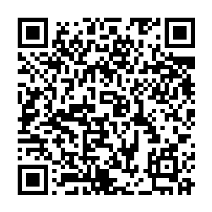 而另一边……欧布则极有可能在封不觉赶来以前就被后方的怪物打成重伤二维码生成