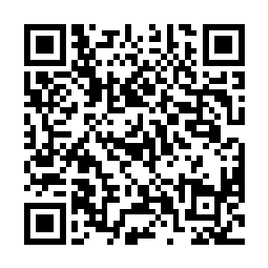 而只是她身上的一件火红色凤袍成长出灵智后所幻化的二维码生成