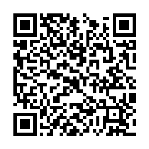 而叶凡的那些死忠嫣然姐羽菲等人自然是随声附和二维码生成