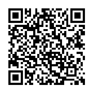 而叶染秋眼眸之中得波涛汹涌很快便平复了下来二维码生成