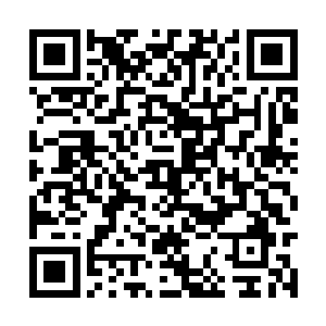 而司马明光和刁柴这两位仙士是张潇晗的契约奴仆二维码生成