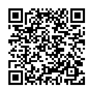 而同时这频繁的空间震动也将这海底无数的百族英灵唤醒二维码生成
