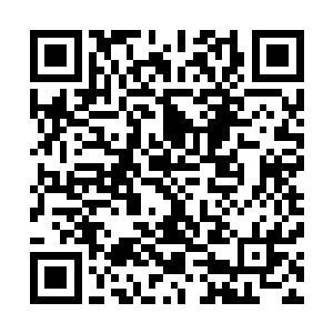 而同样反应过来自己过激反应的俩人这次听了也没空厌恶了二维码生成