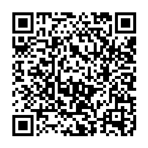 而后只愣楞的看着明明已经屈服的雪如楼突然愤怒的站起身死死的看着他们二维码生成