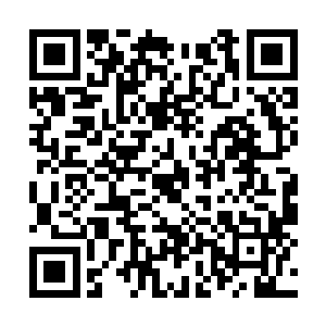 而后将林辰的手机递给了其中一名好似领头的军官二维码生成