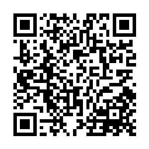 而后意识体竟是直接通过神魂共享进入到流墨墨的神魂中二维码生成
