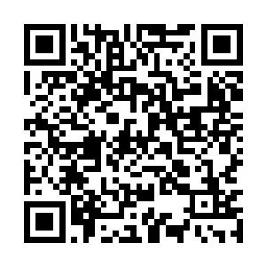 而后把那些还能栽种生长的各种药草植物翻找出来二维码生成