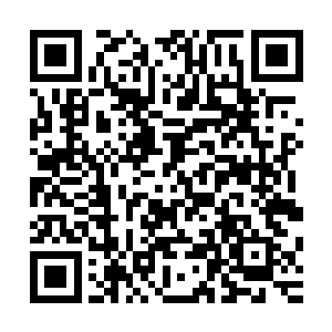 而后是以私营经济和乡镇企业演变过来的各种混合制经济为主二维码生成