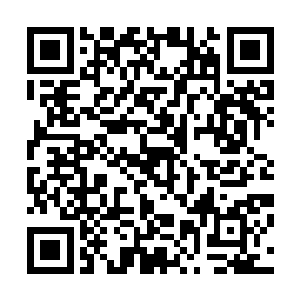 而后莫名其妙地再次伸出手来要越过扈秋娘去拉若生的胳膊二维码生成