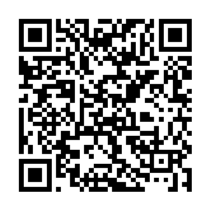 而吴虎臣中指指肚上的伤口居然是瞬间便恢复了过来二维码生成
