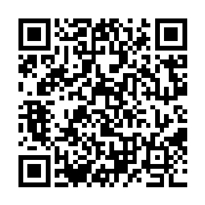 而吴虎臣这句话很可能让吴虎臣之前的计划全都给打乱了二维码生成