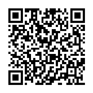 而周围密植的次生林混杂着原来保留下来的老树二维码生成