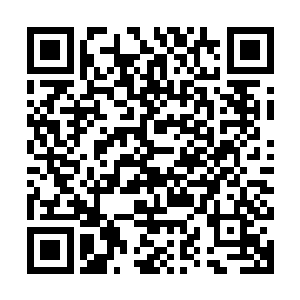 而周围的同学则都用一种很怪异的眼神看着他和他的同桌小虾米二维码生成