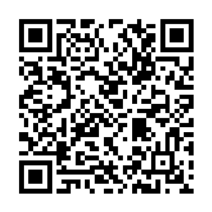 而周萍萍和孙若璇虽然还没有进入完全正常的状态二维码生成