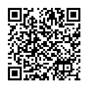 而哈彼德听到电视机里传来整齐划一的露西加油二维码生成