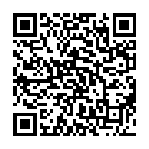 而哈特和皮勒两个人这个时候则是化身成为十万个为什么二维码生成