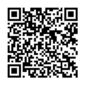 而唐慕馨在看到那女孩后第一反应就是坐的离洪大力近了些二维码生成