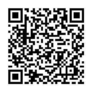 而唐虎已经成为紫幽派甚至是飞船上十万修士和妖族二维码生成