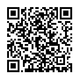 而四个人这个时候的目光则是集中到了远处的那个尸体那边二维码生成