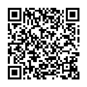 而圣元大陆的东海龙圣敖禹则是将不能再被称作东海龙圣二维码生成