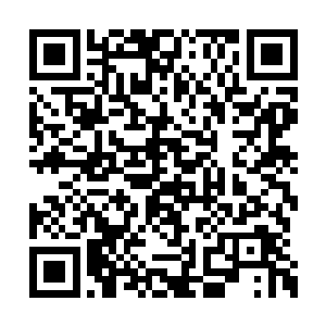 而在一边包围着苏凡等人的黑衣人此刻也不犹豫二维码生成