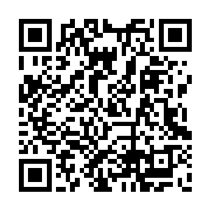 而在下面的龙耀会成员也是注意到了这边的情况二维码生成