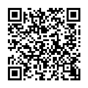 而在他们的手中此刻还一人拿着一把银光闪闪的水果刀二维码生成