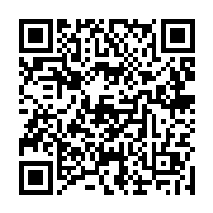 而在他怀里面的罗卿卿看到猴子那一脸叫苦为难的样子二维码生成