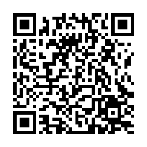 而在吃肉的过程中若是能再欣赏一下食物的挣扎惨嚎二维码生成