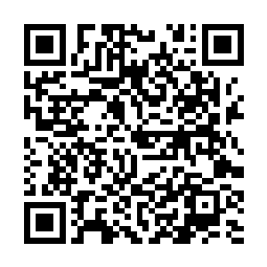 而在星外的紫阳花太空港则发生了二十一场重大事故二维码生成