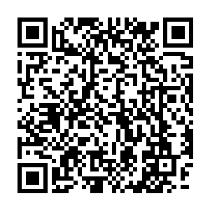 而在森林里又有三道星耀境六星的人死去……这一切都说明了一个问题二维码生成