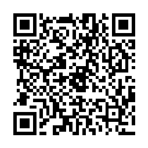 而在这些身影之前有着一道与之完全不符的削瘦身影站立着二维码生成