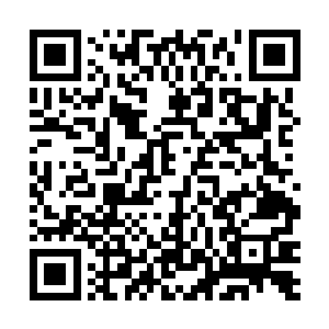 而在这半个月内对方却没有发出一点有关凤君翔的消息二维码生成
