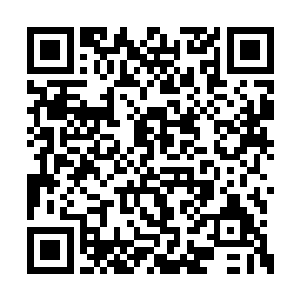 而在这道瘦弱的身躯的前面却是站着一位小女孩二维码生成