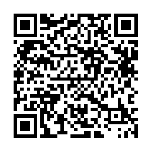 而在金线攻击范围内的其他四名高手也是直接死亡二维码生成