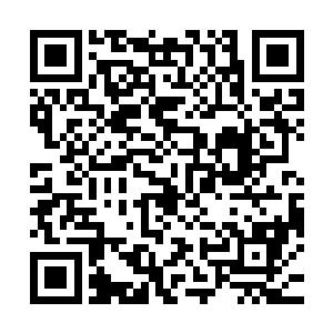而场地中央的林辰却是被眼前突如其来的变故搞得有些莫名其妙二维码生成
