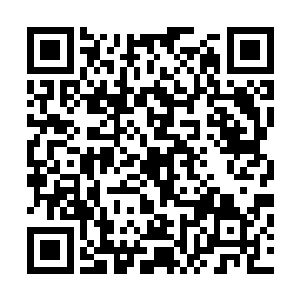 而坐在占人宝对面的蒋忠则满心都是对大小姐祝德贞的钦服二维码生成