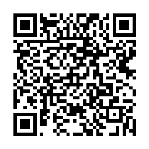 而墙壁已经变成了一个高十几米宽将近二十米的水族箱二维码生成