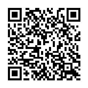 而夕阳却没有想象中那般杀了苏凡之后的兴奋之色二维码生成